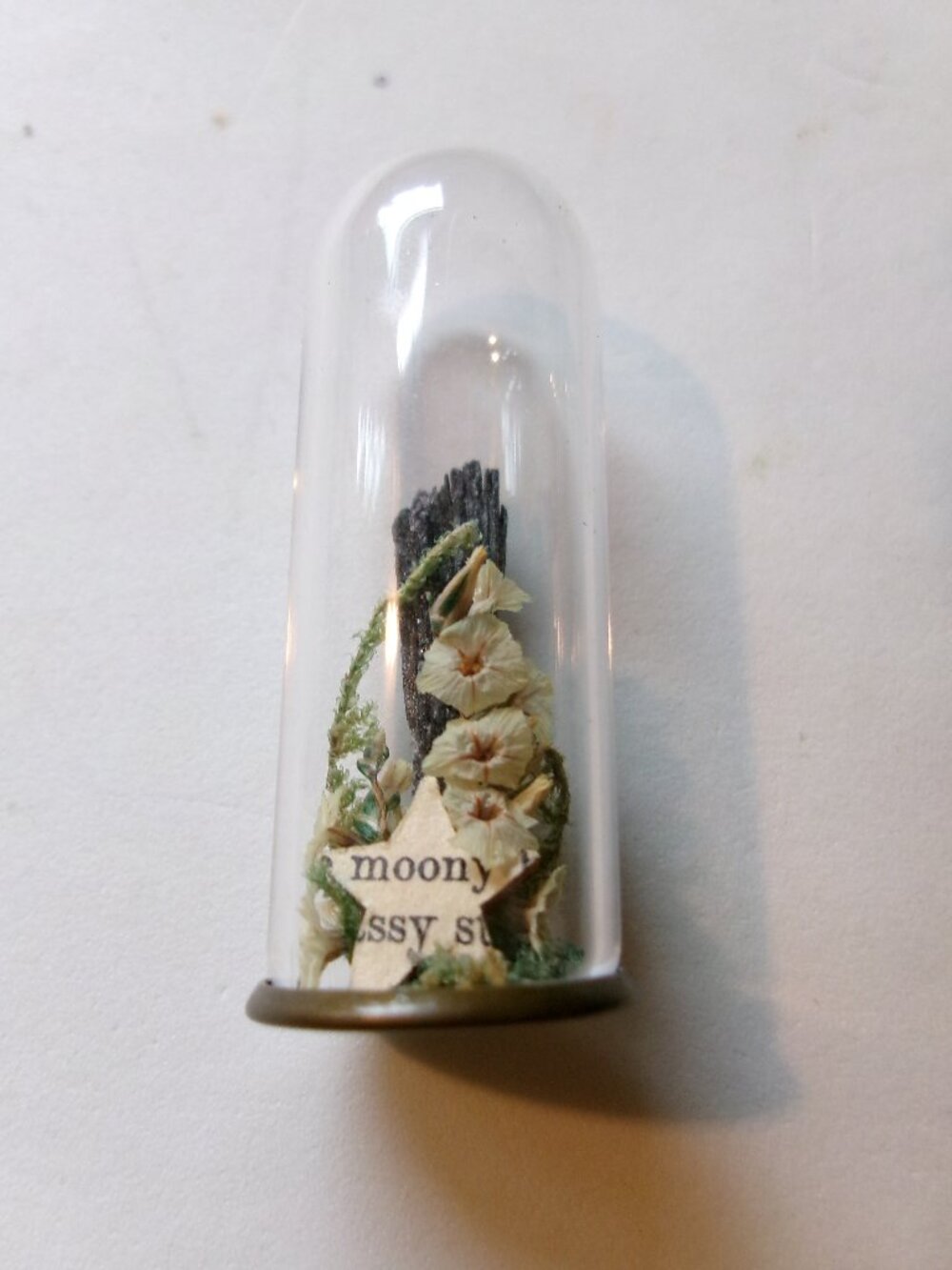 Tiny spooky witchy practical magic specimen  apothecary Halloween jar